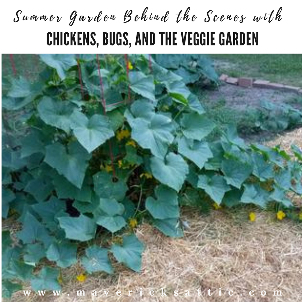 Summer Garden Behind the Scenes with Chickens, Bugs, and Constructing Wooden Tomato Stakes