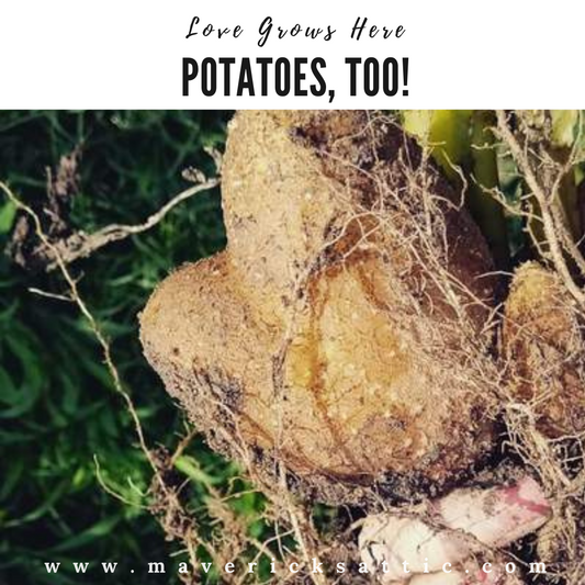 Love Grows Here. Potatoes, Too